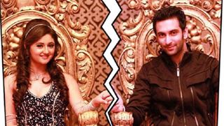 Its Over! Rashami Desai and Nandish Sandhu headed for a Divorce!