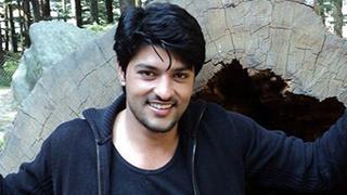 Anas Rashid puts marriage on hold for 'Diya Aur Baati Hum'