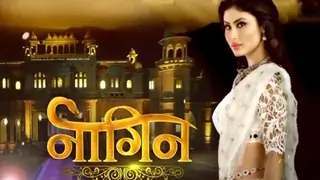 The wedding in 'Naagin' to happen without fire in pyre? Thumbnail