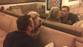 Salman Khan shows 'unconditional' love for pet Thumbnail