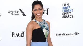 Diversity not all about skin colour, ethnicity: Freida Pinto