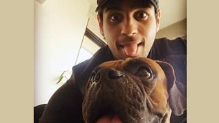 Sidharth Malhotra's Dog promotes 'Rustom' in the most adorable way!