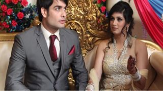 Vivian Dsena and Vahbbiz Dorabjee's marriage on the ROCKS?