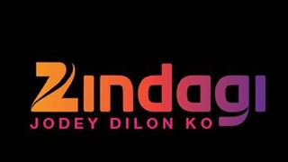 Zindagi channel might BAN all Pakistani TV shows!