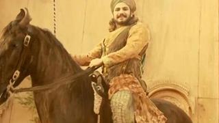 300 horses auditioned for 'Chandra Nandni' sequence!