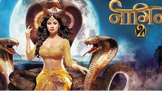 This famous VJ trolled Naagin 2!