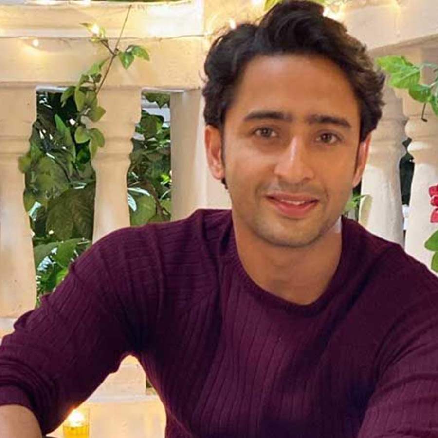This is what Shaheer Sheikh wants to play which will leave you in aww