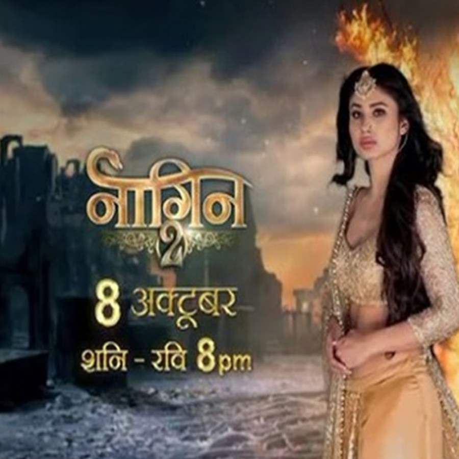 Naagin 2, 21st May 2017 Written Update of Full Episode: Rocky decides to  trust Shesha and deceive Shivangi to get the Naagmani - Bollywood News &  Gossip, Movie Reviews, Trailers & Videos