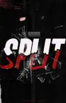 Split Thumbnail