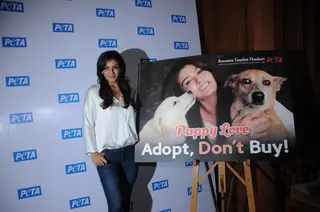 Raveena Tandon at Peta's Press Conference Thumbnail