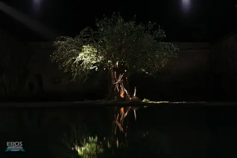 A still scene from Drona