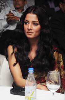 Celina Jaitly graces Egyptian Tourism Bash