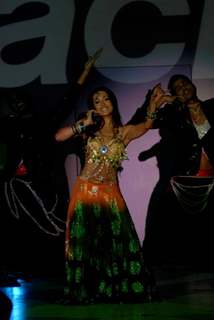 Malaika sizzle at Blackberry Torch launch celebrations