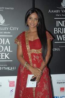 Neetu Chandra at Aamby Valley India Bridal Week day 2