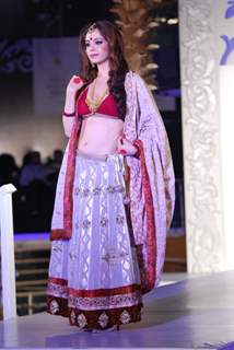 Model Walks for fashion designer Abhishek Dutta at Aamby Valley Indian Bridal Week day 4