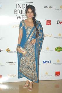 Vidya Malvade at Aamby Valley Indian Bridal Week day 4