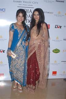 Vidya Malvade at Aamby Valley Indian Bridal Week day 4