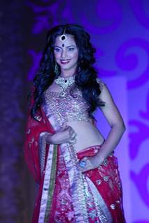 Model Walks for fashion designer Ashima Leena at Aamby Valley Indian Bridal Week day 4