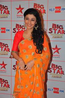 Ragini Khanna at the Big Star Entertainment Awards held at Bhavans College Grounds in Andheri