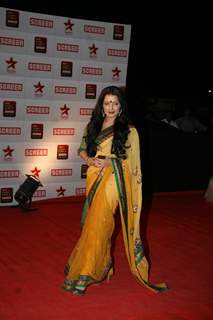 Celina Jaitley at 17th Annual Star Screen Awards 2011