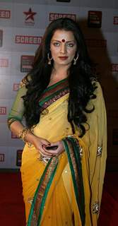 Celina Jaitley at 17th Annual Star Screen Awards 2011