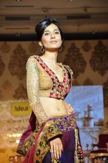 Amrita Rao walk the ramp at Mizwan Show. .