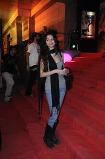 Celebs at Premiere of 'Yeh Saali Zindagi'