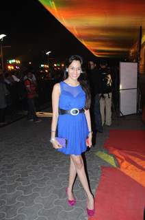 Celebs at Premiere of 'Yeh Saali Zindagi'