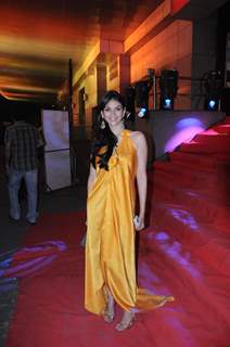 Aditi Rao Hydari at Premiere of 'Yeh Saali Zindagi'