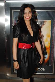 Twinkle Bajpai at Launch of Vikram Bhatt's 'Haunted - 3D' movie first look