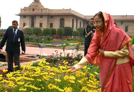 President Pratibha Patil at the Mughal Gardens in Rashtrapati Bhavan, on Monday. .