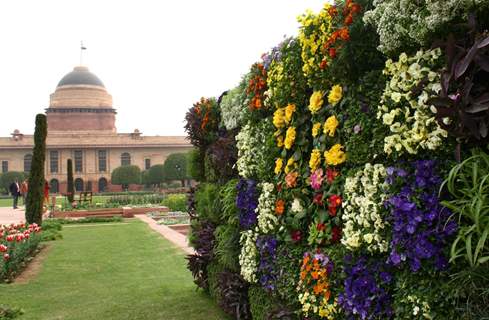 The Mughal Gardens in Rashtrapati Bhavan, on Monday. .