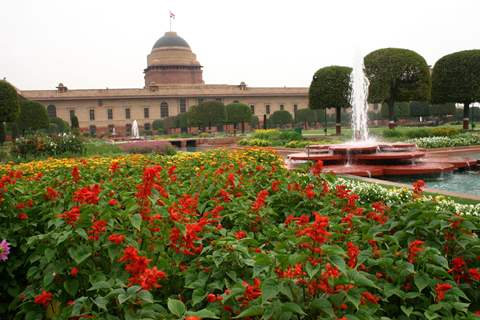 The Mughal Gardens in Rashtrapati Bhavan, on Monday. .