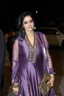 Sridevi at Videocons Venuegopal Dhoots Daughter Marriage