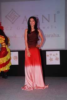 Amrita Rao announced as the brand ambassador of Agni Jewellery at Sea Princess, Juhu, Mumbai. .