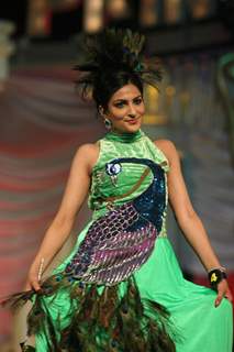 Model walks the ramp at Grand Finale of Indian Princess 2011-12