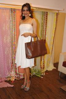 Madhoo at Neeta Lulla's new collections at AZA showroom