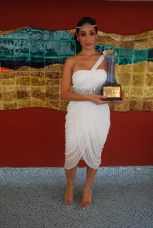 Hira Manek Awards. .