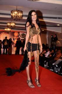 Poonam Pandey at Yuva Tigers Calendar Launch in Club Millennium