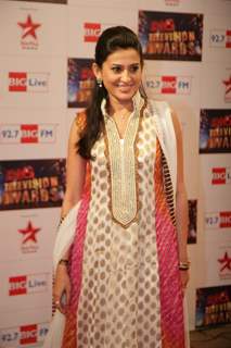 Smita Bansal at Big Television Awards at Yashraj Studios