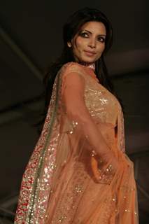 Shama Sikander walk the ramp for Shaina NC and Manish Malhotra at the Pidilite-CPAA charity fashion