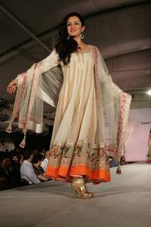 Tisca Chopra walk the ramp for Shaina NC and Manish Malhotra at the Pidilite-CPAA charity fashion sh