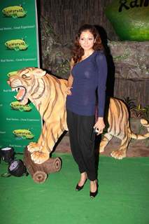 Celebs at Rainforest restaurant and Bar launch in Andheri