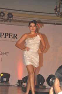 Model walks the ramp for IIID Copper Fashion Show 2011