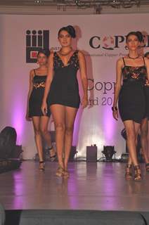 Model walks the ramp for IIID Copper Fashion Show 2011