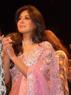 Kritika Kamra in India International Jewellery Week(IIJW) 2011 at Hotel Grand Hyatt in Kalina, Mumba