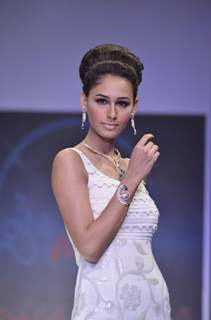 Model walks the ramp for Monica Kapur at IIJW 2011