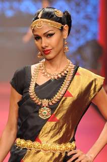 Model walks the ramp for C Krishniah Chetty & Sons at IIJW 2011