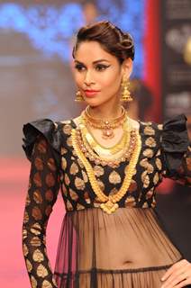 Model walks the ramp for C Krishniah Chetty & Sons at IIJW 2011