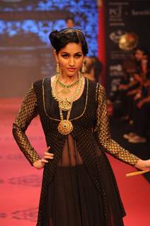 Model walks the ramp for C Krishniah Chetty & Sons at IIJW 2011